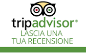 trip_advisor